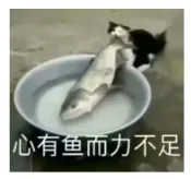 【实测对比】 告别Windows龟速复制!FastCopy 22秒拷完4G小文件,免费!插图 【实测对比】 告别Windows龟速复制!FastCopy 22秒拷完4G小文件,免费!插图